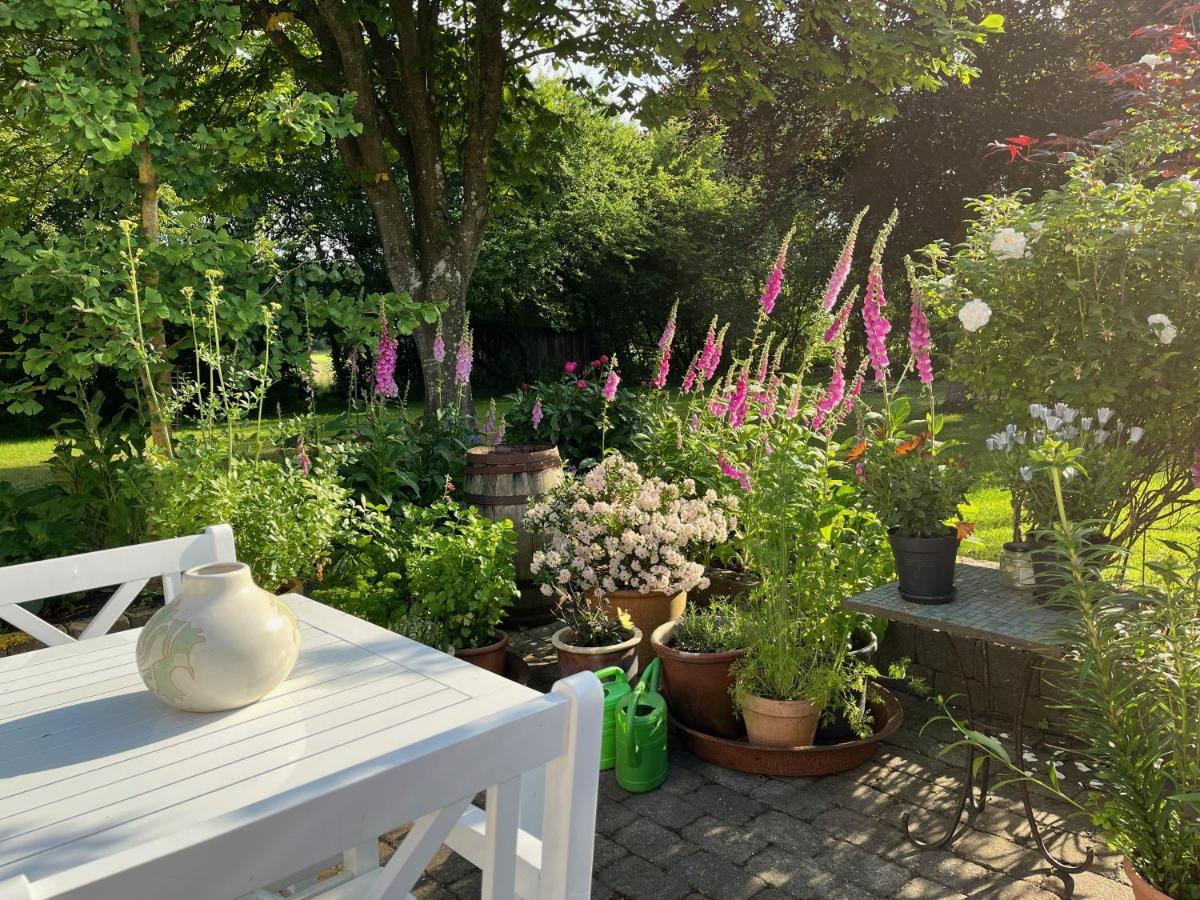 Fuglsang Bed & Breakfast Hjorring Exterior photo